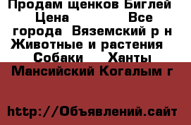 Продам щенков Биглей › Цена ­ 15 000 - Все города, Вяземский р-н Животные и растения » Собаки   . Ханты-Мансийский,Когалым г.